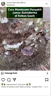Konten IG