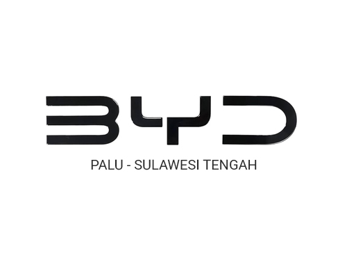 BYD Palu